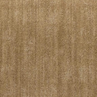 Ковровое покрытие Shaw MODERN EDIT Еdition 5A228-64155 коричневый — купить в Москве в интернет-магазине Snabimport