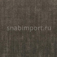 Ковровое покрытие Shaw MODERN EDIT Еdition 5A228-64760 коричневый — купить в Москве в интернет-магазине Snabimport