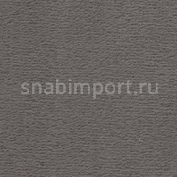 Ковровое покрытие Vorwerk DUNA 2014 5J38 серый — купить в Москве в интернет-магазине Snabimport