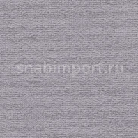 Ковровое покрытие Vorwerk DIMODA 2014 5R31 серый — купить в Москве в интернет-магазине Snabimport