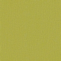 Ковровая плитка Shaw LIGHT SERIES Applied Tile 5T004-04284 зеленый — купить в Москве в интернет-магазине Snabimport