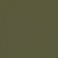Ковровая плитка Shaw LIGHT SERIES Applied Tile 5T004-04322 зеленый — купить в Москве в интернет-магазине Snabimport