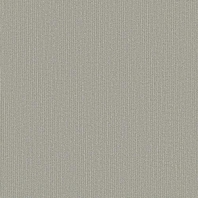 Ковровая плитка Shaw LIGHT SERIES Applied Tile 5T004-04515 Серый — купить в Москве в интернет-магазине Snabimport