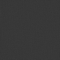 Ковровая плитка Shaw LIGHT SERIES Applied Tile 5T004-04585 чёрный — купить в Москве в интернет-магазине Snabimport