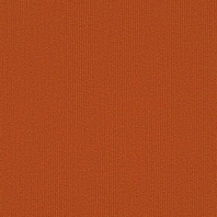 Ковровая плитка Shaw LIGHT SERIES Applied Tile 5T004-04668 оранжевый — купить в Москве в интернет-магазине Snabimport