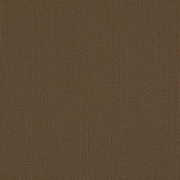 Ковровая плитка Shaw LIGHT SERIES Applied Tile 5T004-04715 коричневый — купить в Москве в интернет-магазине Snabimport