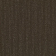 Ковровая плитка Shaw LIGHT SERIES Applied Tile 5T004-04751 коричневый — купить в Москве в интернет-магазине Snabimport