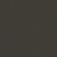 Ковровая плитка Shaw LIGHT SERIES Applied Tile 5T004-04760 чёрный — купить в Москве в интернет-магазине Snabimport