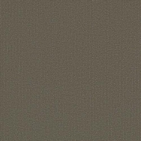 Ковровая плитка Shaw LIGHT SERIES Applied Tile 5T004-04761 Серый — купить в Москве в интернет-магазине Snabimport