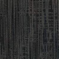 Ковровая плитка Shaw NATURAL PALETTE Vanish Tile 5T023-22496 чёрный — купить в Москве в интернет-магазине Snabimport