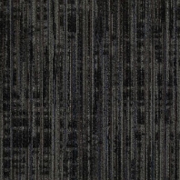 Ковровая плитка Shaw NATURAL PALETTE Vanish Tile 5T023-22505 чёрный — купить в Москве в интернет-магазине Snabimport