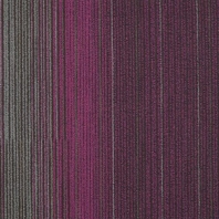 Ковровая плитка Shaw COLOR AT WORK Duotone Tile 5T108-07890 Фиолетовый — купить в Москве в интернет-магазине Snabimport