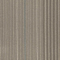 Ковровая плитка Shaw NO RULES Disperse 9x36 Tile 5T184-75105 Серый — купить в Москве в интернет-магазине Snabimport