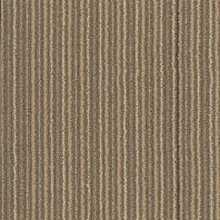 Ковровая плитка Shaw NO RULES Disperse 9x36 Tile 5T184-75761 коричневый — купить в Москве в интернет-магазине Snabimport