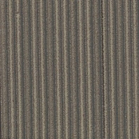 Ковровая плитка Shaw NO RULES Disperse 9x36 Tile 5T184-75765 Серый — купить в Москве в интернет-магазине Snabimport