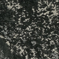 Ковровая плитка Shaw OFF THE GRID Вeyond Tile 5T218-15505 чёрный — купить в Москве в интернет-магазине Snabimport