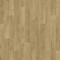 Противоскользящий линолеум Forbo Surestep Fast Fit 618942 Бежево-коричневый
