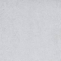 Ковровое покрытие Tapibel Belflor SDN 63641 Бело-серый