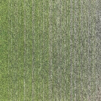 Ковровая плитка Escom Object Art 638-4273 Серо-зеленый — купить в Москве в интернет-магазине Snabimport
