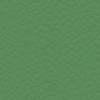 Спортивное покрытие Gerflor Recreation 60 6556 Verde зеленый — купить в Москве в интернет-магазине Snabimport