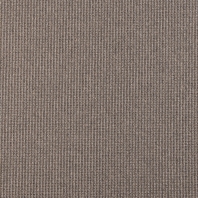 Ковровое покрытие Tapibel Aztec Weave 6593044 Серо-коричневый