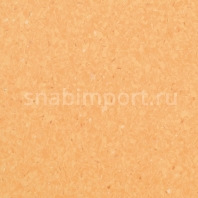 Коммерческий линолеум Armstrong Favorite PUR 726-072 — купить в Москве в интернет-магазине Snabimport