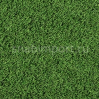Ковры Ege Funky Feet 728325 зеленый