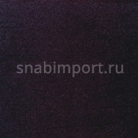Ковровое покрытие Sintelon Eden 74930 Бежевый — купить в Москве в интернет-магазине Snabimport