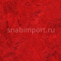 Натуральный линолеум Forbo Marmoleum click 753127 — купить в Москве в интернет-магазине Snabimport