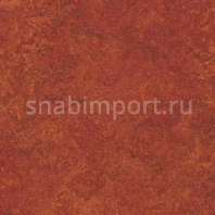 Натуральный линолеум Forbo Marmoleum click 753203 — купить в Москве в интернет-магазине Snabimport