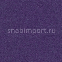 Иглопробивной ковролин Finett Feinwerk buntes treiben 753509 — купить в Москве в интернет-магазине Snabimport