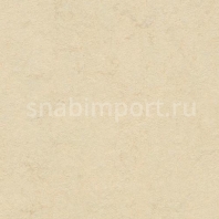 Натуральный линолеум Forbo Marmoleum click 753858 — купить в Москве в интернет-магазине Snabimport