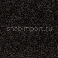Ковровое покрытие Vorwerk COVER 7D62 черный — купить в Москве в интернет-магазине Snabimport