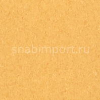 Коммерческий линолеум Armstrong Medintone PUR 885-335 — купить в Москве в интернет-магазине Snabimport
