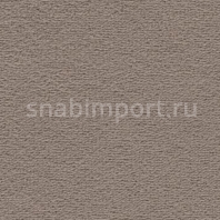 Ковровое покрытие Vorwerk DUNA 2014 8G61 серый — купить в Москве в интернет-магазине Snabimport