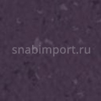 Каучуковое покрытие Nora norament 926 satura 5117 Фиолетовый — купить в Москве в интернет-магазине Snabimport
