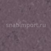Каучуковое покрытие Nora norament 926 satura 5118 Фиолетовый — купить в Москве в интернет-магазине Snabimport