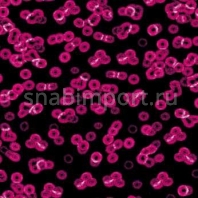 Ковровое покрытие Forbo Flotex Sottsass Bacteria 990101 Красный — купить в Москве в интернет-магазине Snabimport