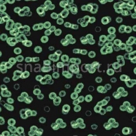 Ковровое покрытие Forbo Flotex Sottsass Bacteria 990102 зеленый — купить в Москве в интернет-магазине Snabimport
