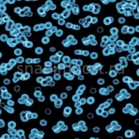 Ковровое покрытие Forbo Flotex Sottsass Bacteria 990105 синий — купить в Москве в интернет-магазине Snabimport