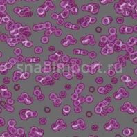 Ковровое покрытие Forbo Flotex Sottsass Bacteria 990301 Фиолетовый — купить в Москве в интернет-магазине Snabimport