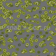 Ковровое покрытие Forbo Flotex Sottsass Bacteria 990302 зеленый — купить в Москве в интернет-магазине Snabimport