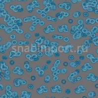 Ковровое покрытие Forbo Flotex Sottsass Bacteria 990303 синий — купить в Москве в интернет-магазине Snabimport