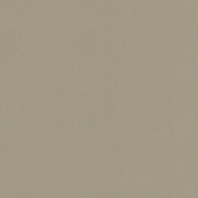 Акустический линолеум Polyflor Silentflor PUR 9975-Moleskin Серый — купить в Москве в интернет-магазине Snabimport
