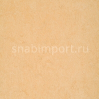 Натуральный линолеум Armstrong Marmorette LPX 121-098 (2,5 мм) — купить в Москве в интернет-магазине Snabimport