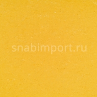 Натуральный линолеум Armstrong Colorette LPX 131-001 (3,2 мм) — купить в Москве в интернет-магазине Snabimport