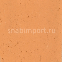 Натуральный линолеум Armstrong Colorette LPX 131-078 (3,2 мм) — купить в Москве в интернет-магазине Snabimport