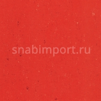Натуральный линолеум Armstrong Colorette LPX 131-132 (3,2 мм) — купить в Москве в интернет-магазине Snabimport