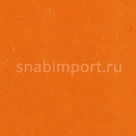 Натуральный линолеум Armstrong Colorette LPX 131-170 (3,2 мм) — купить в Москве в интернет-магазине Snabimport