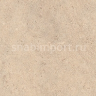 Дизайн плитка Amtico Assura Stone AA0SMS15 Бежевый — купить в Москве в интернет-магазине Snabimport